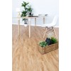 SPC ламинат Alpine Floor Classic ECO 152-9 Бук