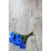 SPC ламинат Alpine Floor Classic ECO 134-5 Ясень Серый