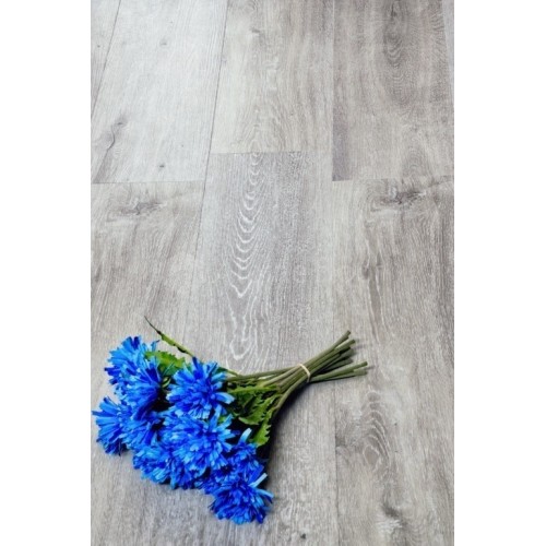 SPC ламинат Alpine Floor Classic ECO 134-5 Ясень Серый