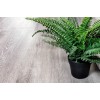 SPC ламинат Alpine Floor Classic ECO 134-5 Ясень Серый