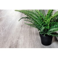SPC ламинат Alpine Floor Classic ECO 134-5 Ясень Серый