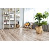 SPC ламинат Alpine Floor Real Wood Дуб Carry ЕCО 2-10