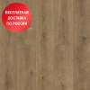 SPC ламинат Alpine Floor Solo Ларгетто ЕСО 14-3