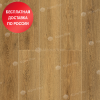 SPC ламинат Alpine Floor Grand Sequoia ECO 11-30 Таксодиум