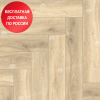 Кварц виниловый ламинат Alpine Floor Parquet Light Дуб Ригель ECO 13-24