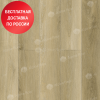 SPC ламинат Alpine Floor Intense Тихий лес ЕCО 9-13