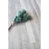 Кварцвиниловая плитка Alpine Floor Easy Line Дуб Полярный ECO 3-19
