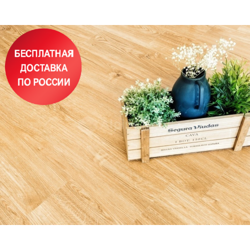Кварцвиниловая плитка Alpine Floor ECO6-4 Секвойя Royal
