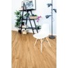 Кварцвиниловая плитка Alpine Floor ECO6-4 Секвойя Royal