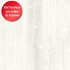 SPC ламинат Alpine Floor Intense Белый лес ECO 9-9