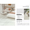 SPC ламинат Alpine Floor Intense Белый лес ECO 9-9